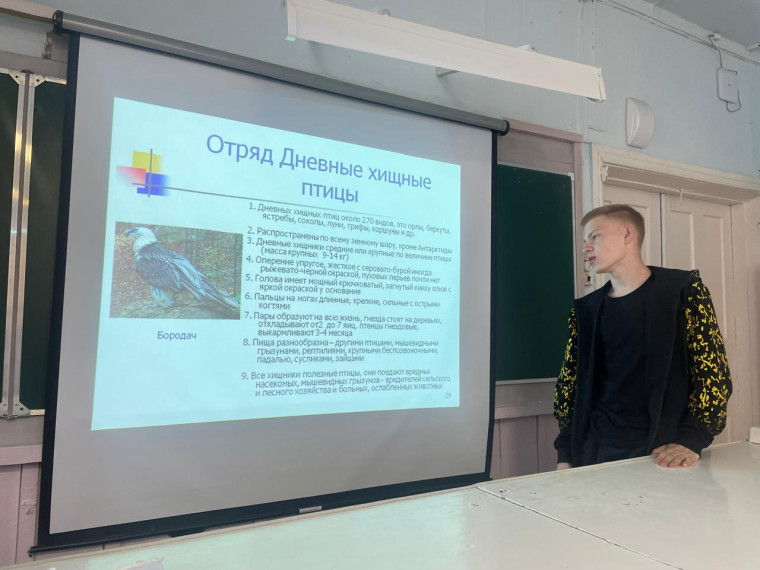 Птицы.